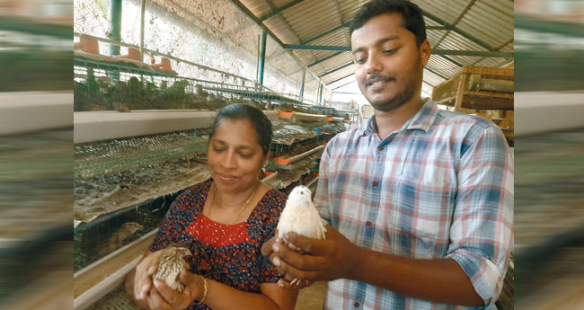 ഷാ​ലു ഹി​റ്റാ​ക്കി​യ കാ​ട​മു​ട്ട​പ്പൊ​ടി