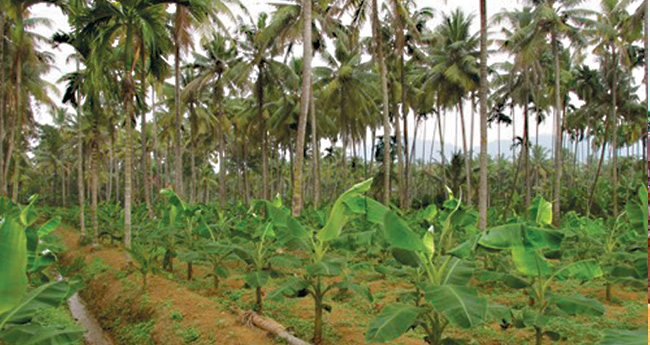 നമ്മുടെ കൃഷി, നമ്മുടെ ആരോഗ്യം