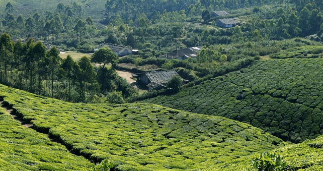 മലയോര കര്‍ഷകര്‍ പറയുന്നു; മാറ്റുവിന്‍ ചട്ടങ്ങളേ