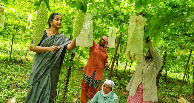 വാലാച്ചിറ വിത്തുഫാം പറയുന്നു, വൈവിധ്യം തന്നെ വരുമാനം