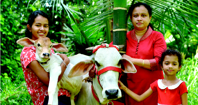 കൃഷി വീട്ടിലെ 'താര്‍പാര്‍ക്കര്‍'