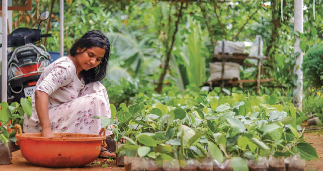 സമ്മിശ്രം, സംയോജിതം ഈ അതിജീവന കൃഷി