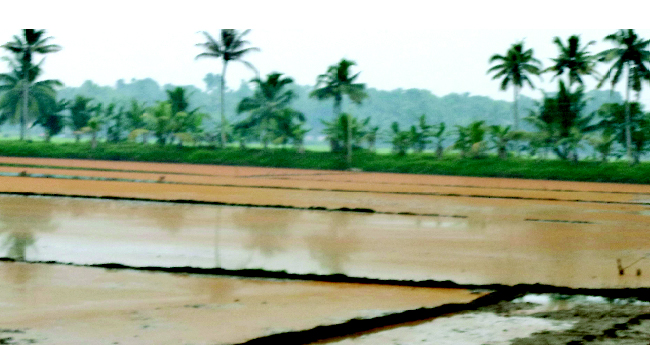 മനുഷ്യന്‍റെ ആരോഗ്യത്തിന് മണ്ണിനെ ജീവസുറ്റതാക്കാം