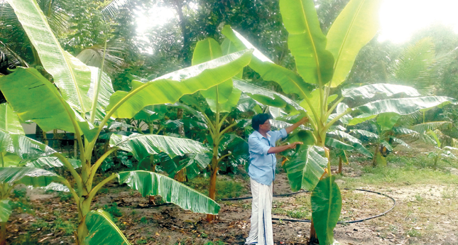 ചിന്താഭവനത്തിലെ കാര്‍ഷിക ചിന്തകള്‍