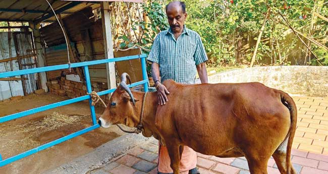 വില്വാദ്രി മുത്തശ്ശിക്ക് പ്രായം 33, പ്രസവം 29