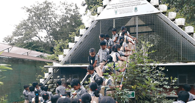 കൃഷിക്കായി ഗിഗ്ഗിന്‍സ് ഫാം വില്ല