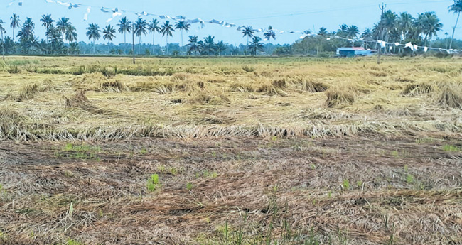 നിരോധിത വിഷങ്ങള്‍ നുഴഞ്ഞുകയറുമ്പോള്‍