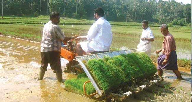 അറിഞ്ഞു തുടങ്ങാം, കൃഷി