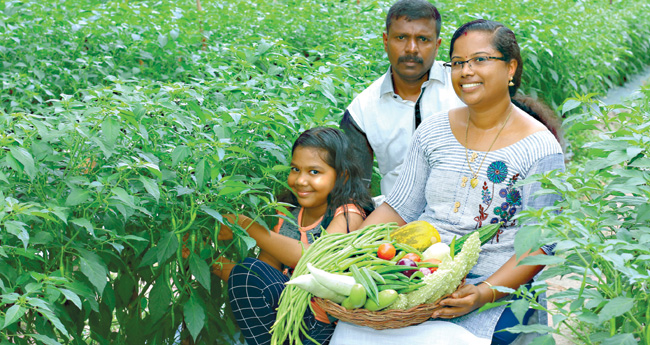 അടുക്കളത്തോട്ടത്തില്‍ നിന്നു കൃഷി അരങ്ങത്തേക്ക്