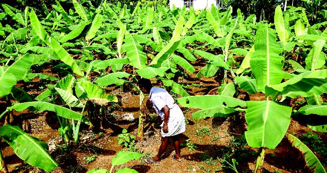 ശത്രു മുന്നിലെത്തി, അടവൊന്നു മാറ്റിയില്ലെങ്കില്‍ അടിയോടെ പോകും