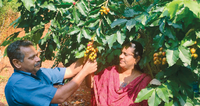 കാണാം, പഠിക്കാം - ഹൈടെക്, സമ്മിശ്ര കൃഷി