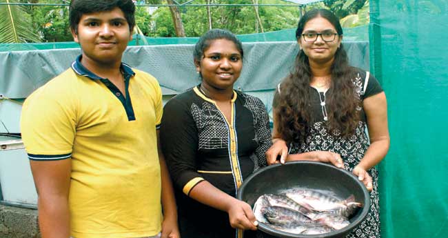 ബയോഫ്‌ളോക്ക് തിലാപ്പിയയും ചില അനുഭവപാഠങ്ങളും