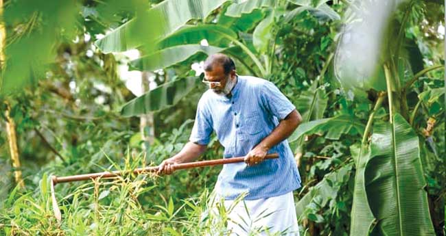 അധ്വാനം ആരാധനയാക്കിയ മേല്‍പ്പട്ടക്കാരന്‍