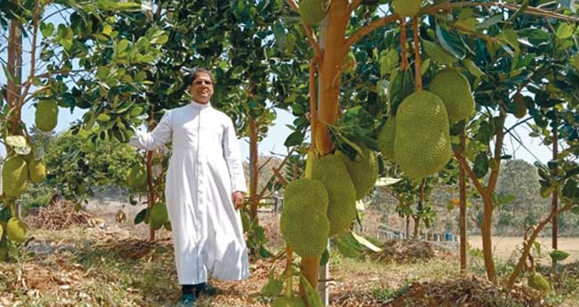 ഇടയസ്വരത്തില്‍ ചക്ക ഗ്രാമമായി മംഗലം