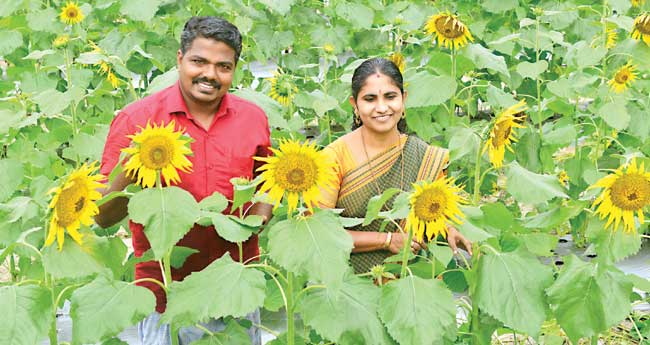 യു​വ​ക​ർ​ഷ​ക​നൊ​രു​ക്കി​യ "​ഉ​ണ​ർ​വി​ന്‍റെ ഉ​ദ്യാ​നം’