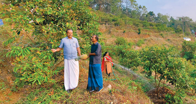 ഈ ​അ​ഭി​ഭാ​ഷ​ക​ന് കൃ​ഷി ജീ​വ​നാ​ണ്