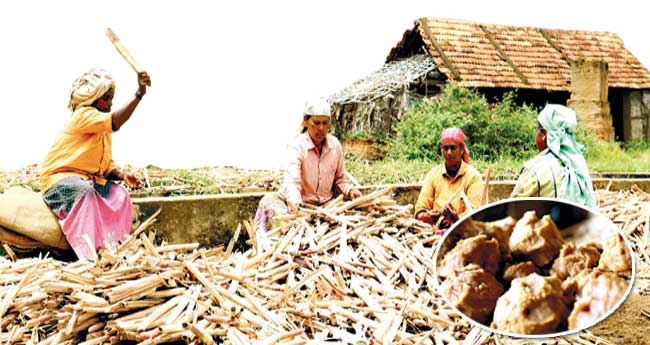 ച​ന്ദ​ന​സു​ഗ​ന്ധ​ത്തി​നൊ​പ്പം മ​റ​യൂ​രി​നു ശ​ര്‍​ക്ക​ര മ​ധു​ര​വും