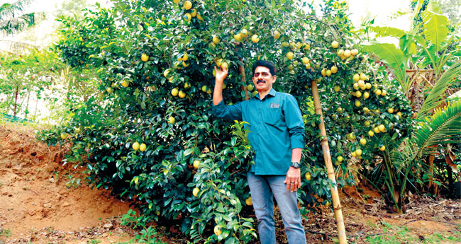 പു​ന്ന​ത്താ​നം ജാ​തി​ക്ക് പ​റ​യാ​ൻ മി​ക​വു​ക​ളേ​റേ