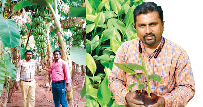 വി​ത്ത് മു​ത​ൽ വി​പ​ണി വ​രെ; മ​ണ്ണി​ൽ ചു​വ​ടു​റ​പ്പി​ച്ച് ഡാ​ർ​വി​ൻ