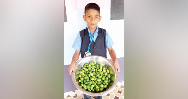 കു​ട്ടി​ക്ക​ർ​ഷ​ക​ന്‍റെ കോ​വ​യ്ക്ക സ്കൂ​ളി​ന്‍റെ രു​ചി​ക്കൂട്ടിലേക്ക്