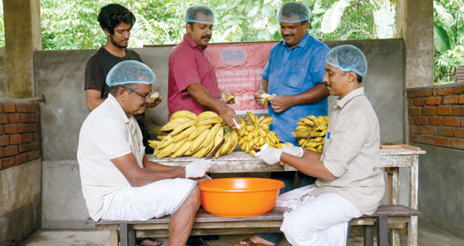 കൃ​ഷി​ക്കൂ​ട്ടം വി​ജ​യ​മാ​തൃ​ക, ക​രു​ത്താ​ണ് "യൂ​ണി​റ്റി’