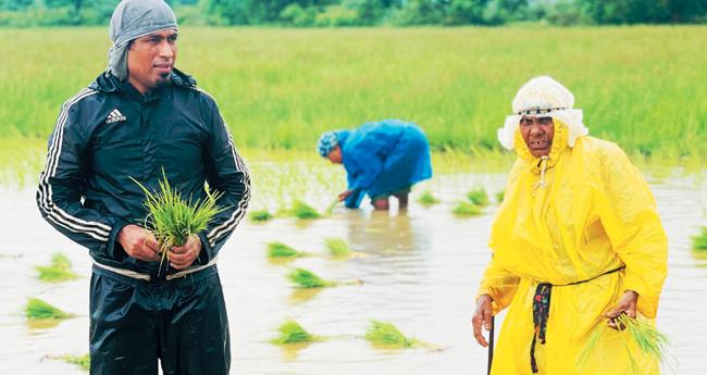നാ​ട്ടി​കൃ​ഷി​യി​ല്‍​നി​ന്ന് നാ​മ്പെ​ടു​ത്ത നാ​ട​ന്‍​പാ​ട്ടു​മാ​യി റം​ഷി പ​ട്ടു​വം
