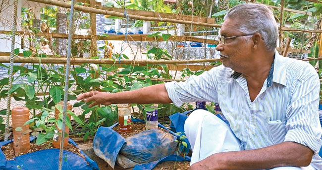 ഒ​രാ​ഴ്ച ന​ന​യ്ക്കാ​ൻ ഒ​രു കു​പ്പി വെ​ള്ളം; ഇ​യ്യോ​യു​ടെ വേ​റി​ട്ട കൃ​ഷി