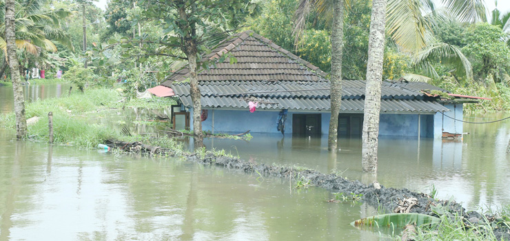 സജീവ സാന്നിധ്യമായി ചങ്ങനാശേരി അതിരൂപത