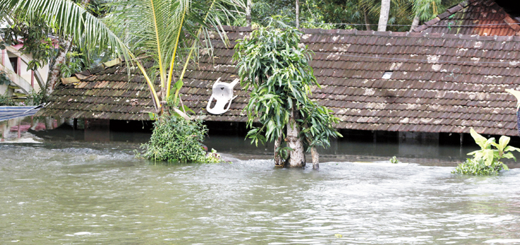 കഴുത്തോളം മുങ്ങി കുട്ടനാട്