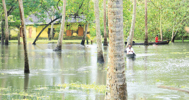 ദുരിതക്കയത്തിൽ മുങ്ങി കുട്ടനാട്