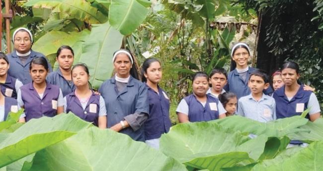 മ​ണ്ണാ​ർ​ക്കാ​ടി​ന്‍റെ മാ​ണി​ക്യ​ങ്ങ​ൾ