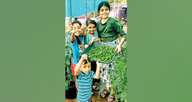 ഈ ​കു​ട്ടി​ക്ക​ർ​ഷ​ക​ർ​ക്ക് കൂ​ട്ടു​കൂ​ടാ​ൻ കാ​ബേ​ജും പ​ട്ടു​ചീ​ര​യും പി​ന്നെ ത​ക്കാ​ളി​യും...