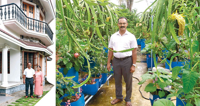 എ​ൽ​ഐ​സി വി​ട്ടു; വി​ൽ​സ​ണ് കൃ​ഷി പോ​ളി​സി