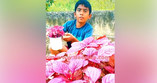 അ​വ​ധി​ക്കാ​ല​ത്ത് ലി​യോ​ണ്‍ കൃ​ഷി​യു‌​ടെ തി​ര​ക്കി​ലാ​ണ്
