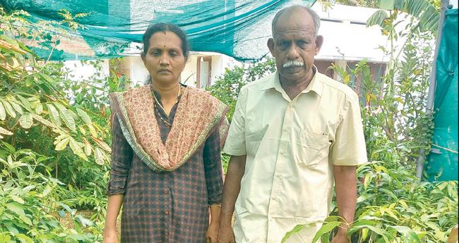 നാട്ടുമാവുകൾക്കും പ്ലാവുകൾക്കും കാവലാളായി മലബാർ നഴ്സറി