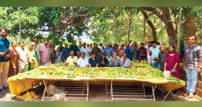 ഒ​ത്തു​കൂ​ടാം... നാ‌​ട്ടു മാ​ഞ്ചോ​ട്ടി​ൽ