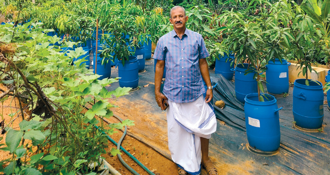 മി​യാ​വാ​ക്കി വ​നം മു​ത​ൽ ഒ​ക്സി​ജ​ൻ സ്പോ​ട്ട് വ​രെ