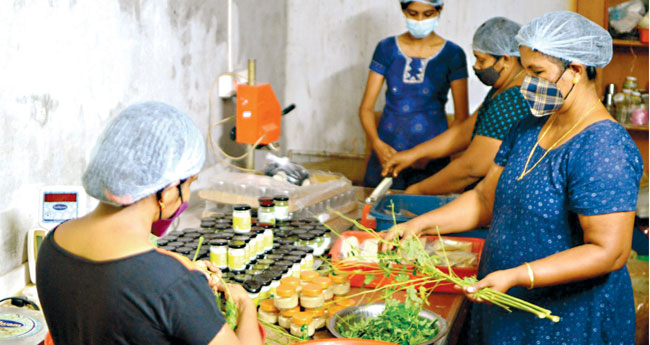 വെ​ട്ടി​മൂ​ടാ​നു​ള്ള​ത​ല്ല മു​രി​ങ്ങ; മു​രി​ങ്ങ ഉ​ത്പ​ന്ന​ങ്ങ​ളു​മാ​യി വീ​ട്ട​മ്മ