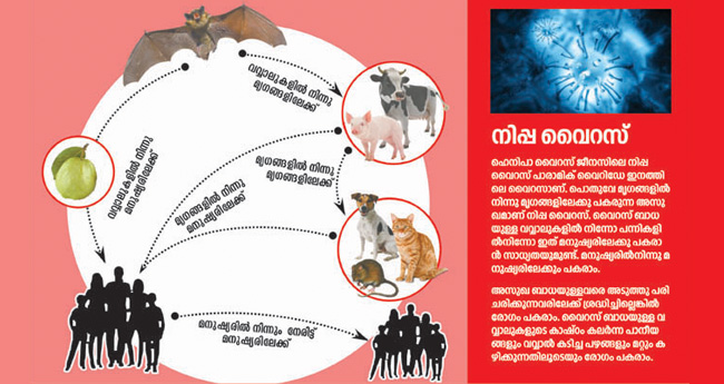 മുൻകരുതലുമായി കോ​ഴി​ക്കോ​ട്