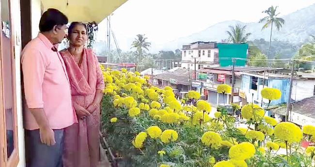 മ​ട്ടു​പ്പാ​വി​ല്‍ പൂ​ക്കാ​ല​മൊ​രു​ക്കി പാ​റ​ത്തോ​ട് ദ​മ്പ​തി​മാ​ര്‍