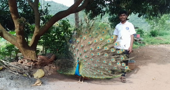 എ​ന്നു​വ​രും നീ..! "കഥാനായകൻ' മടങ്ങിയെത്തുന്നതും കാത്ത് ഒരു നാട്