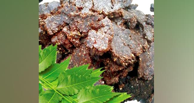 ചെ​ന്നീ​രൊ​ലി​പ്പി​നും കൂ​ന്പു​ചീ​യ​ലി​നും വേ​പ്പി​ൻ പി​ണ്ണാ​ക്ക്