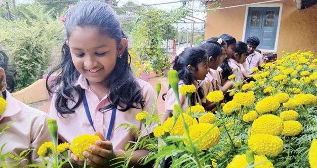 സ്കൂ​ള്‍ മു​റ്റ​ത്ത് വസന്തമൊരുക്കി കു​രു​ന്നു​ക​ളു​ടെ പൂന്തോട്ടം