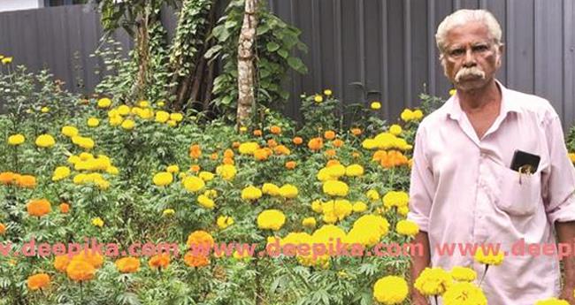 പൂ​കൃ​ഷി​യി​ൽ നൂ​റു​മേ​നി  വി​ള​വു​മാ​യി​ ക​ണ്ണ​ങ്കേ​രി​ൽ രാ​ജു
