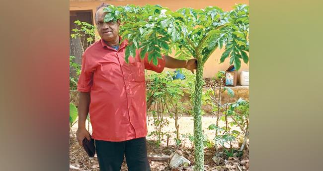 ശ്യാം​കു​മാ​ർ സം​ര​ക്ഷി​ക്കു​ന്ന​ത് 43 ഇ​നം കി​ഴ​ങ്ങു​വ​ർ​ഗ വി​ള​ക​ൾ