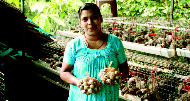 വൈവിധ്യമാർന്നതാണ് സിന്ധുവിന്‍റെ കൃഷിലോകം