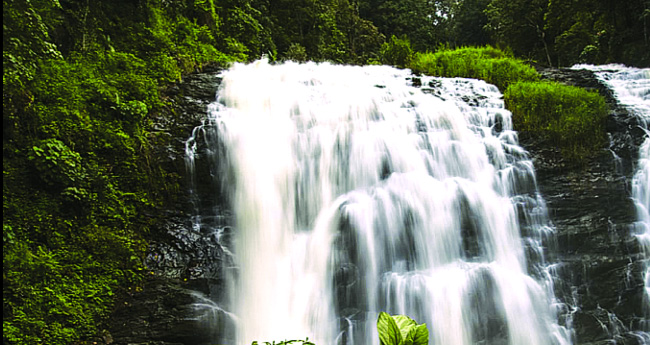 വശ്യഭംഗിയൊരുക്കി കുടക്