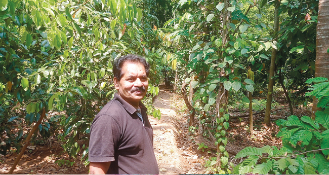 പ്ര​കൃ​തി സൗ​ഹൃ​ദ​കൃ​ഷി​യു​ടെ ഉ​പാ​സ​ക​നാ​യി ത​ങ്ക​ച്ച​ൻ