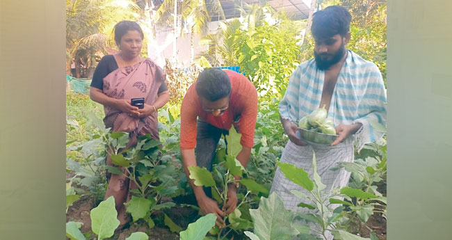 തൗ​ഹീ​ദി​ന്‍റെ കൃ​ഷി​യി​ട​ത്തി​ൽ മ​റു​നാ​ട​ൻ പ​ച്ച​ക്ക​റി