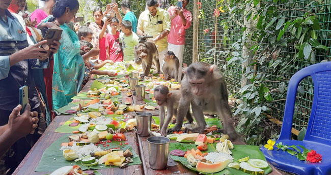 ഇ​ട​യി​ലെക്കാ​ട്ടെ വാ​ന​ര​സ​ദ്യ